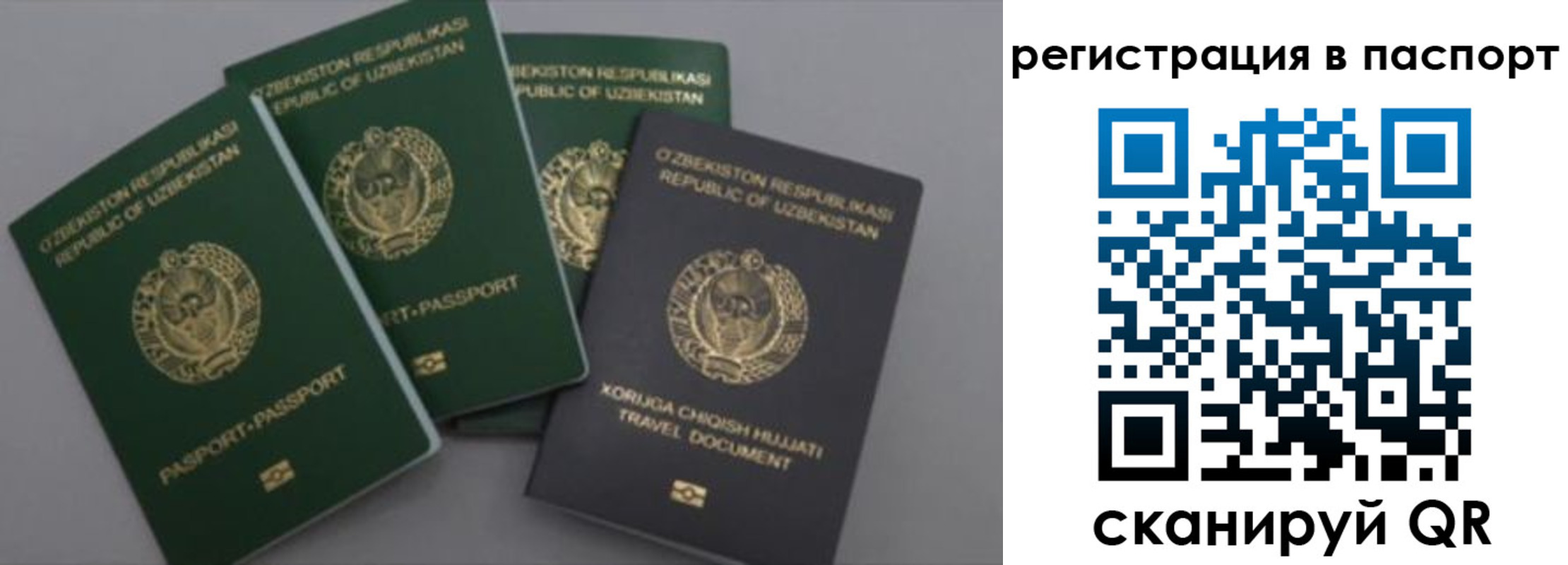 прописка от собственника в Пушкино
